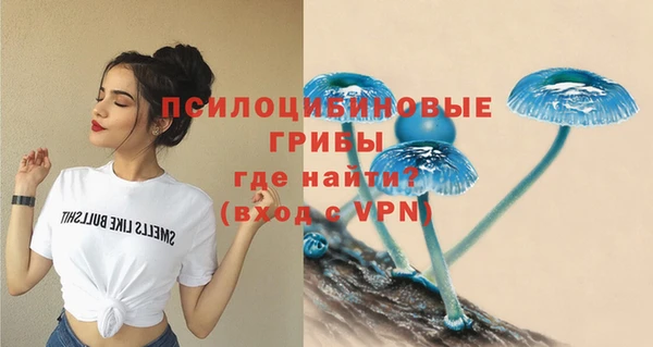 молекула духа Балабаново