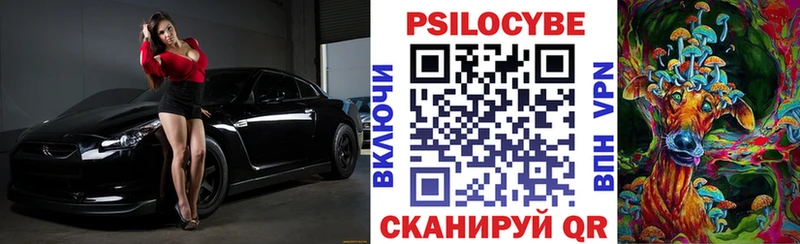 Галлюциногенные грибы Psilocybine cubensis  Купить  Короча 